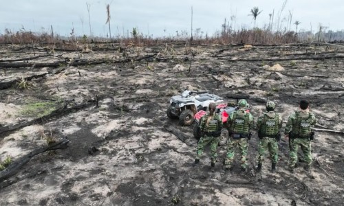 Operação Incêndios 2025: Polícia Federal lança ação integrada contra queimadas e crimes ambientais